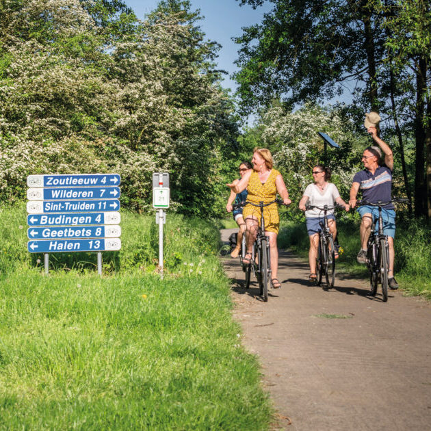 Fietsers op de Ijzerenwegroute