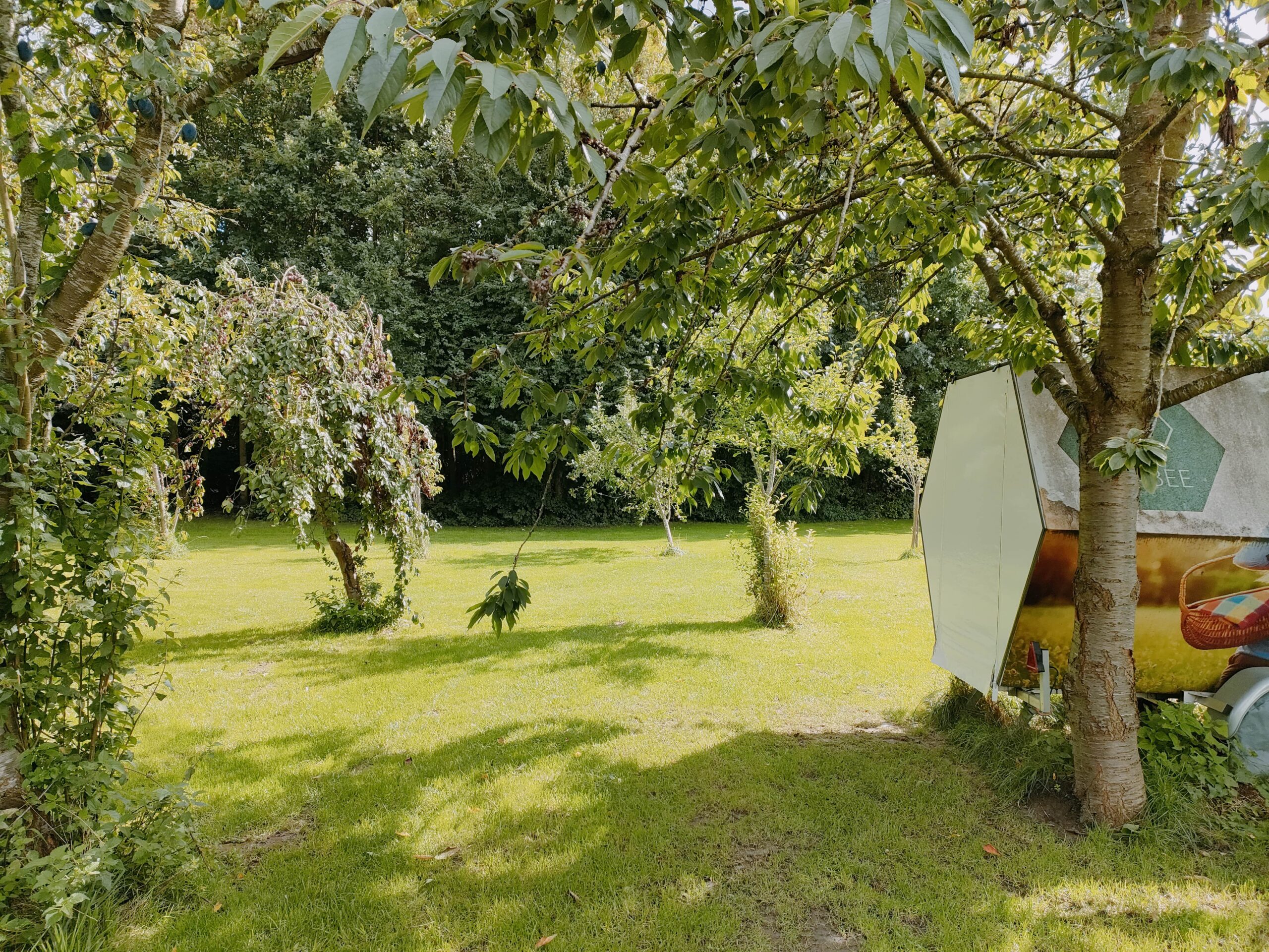 Tentenweide met een B and Bee slaapunit